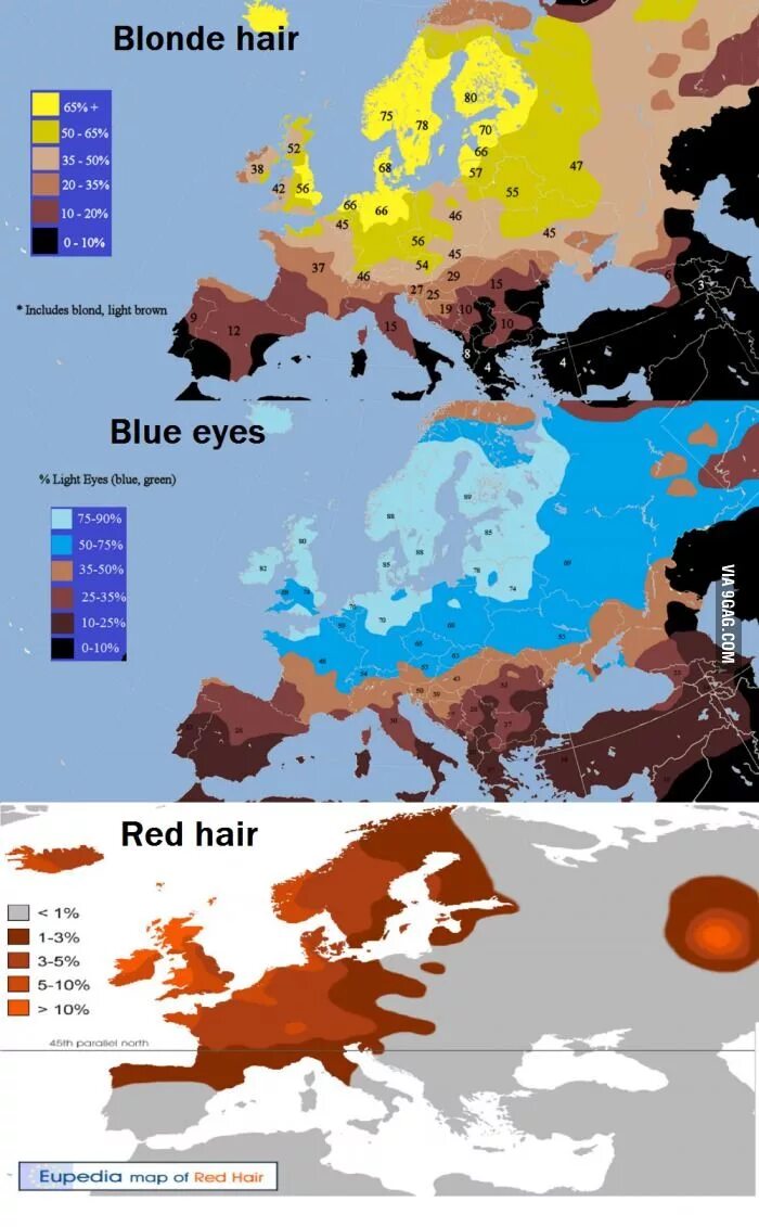 Карты рыжий
