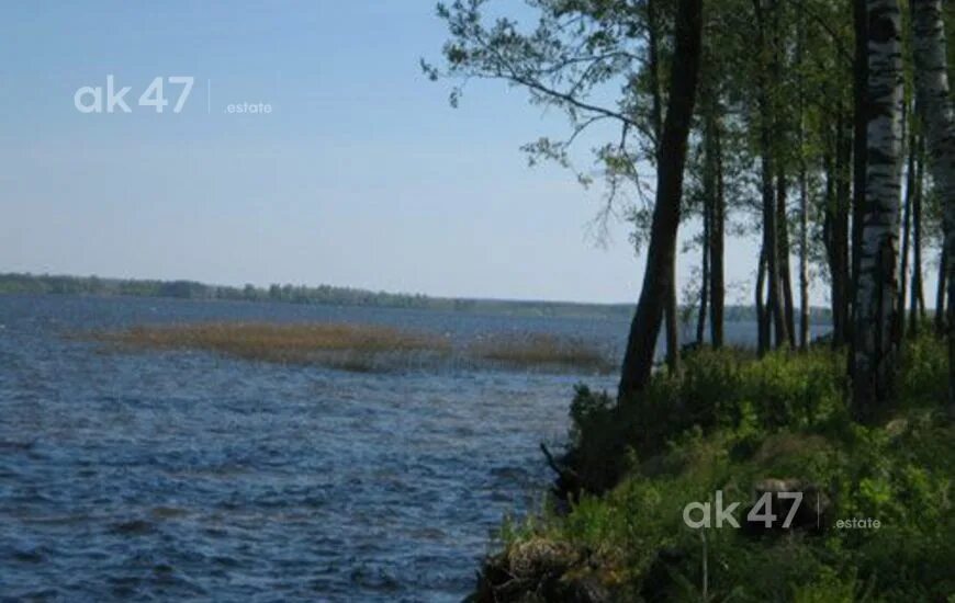озеро зеркальное ленинградская область фото. озеро зеркальное казань. озеро зеркальное ленинградская область. озеро зеркальное нижний новгород автозавод. погода зеркальное ленинградская.