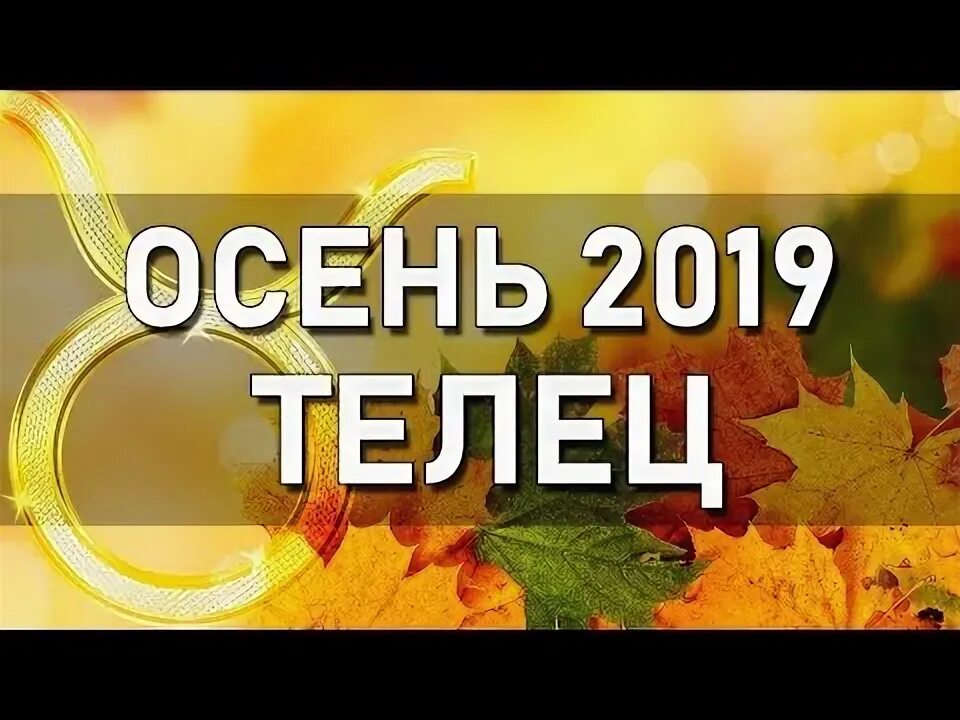 Осенью 2019 года