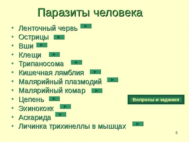 Признаки глиста в организме. Животные вредители. Круглые черви геогельминты. Тип круглые черви класс нематоды. Простейшие паразиты человека таблица.