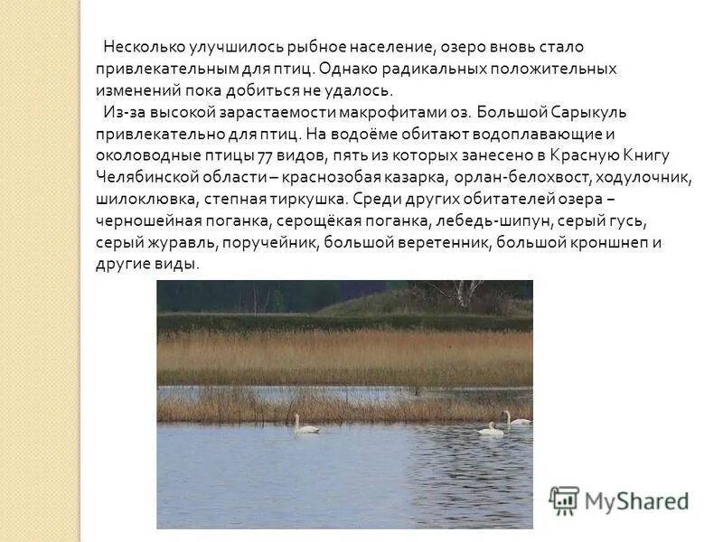 о. троицкий храм город озёры. город озеры ока. деревня озеры московская область. озеры храм святой троицы.
