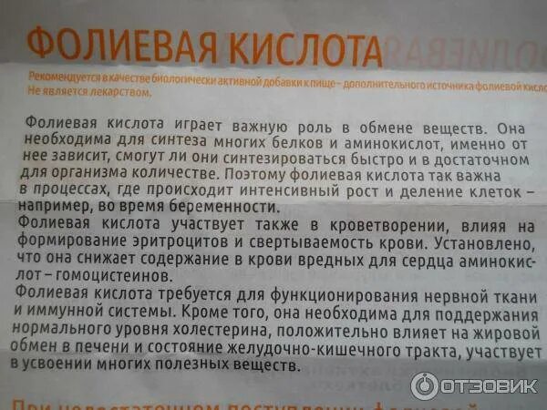 Сколько можно пить фолиевую