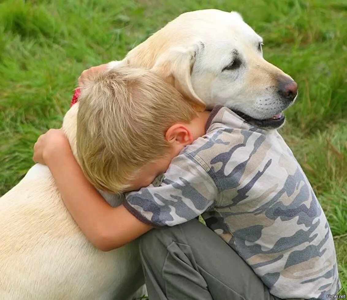 Ну сочувствуй. Собака друг человека. Дети с животными. Собака для детей. Животные друзья человека.