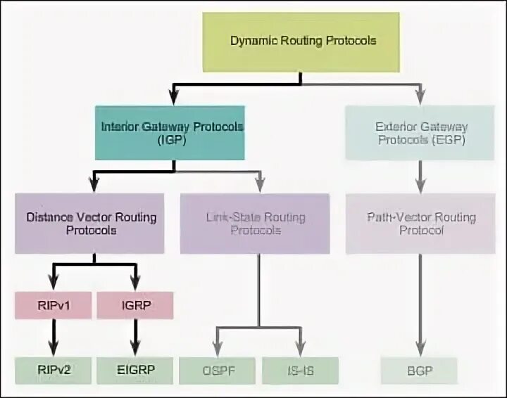 Type of concepts