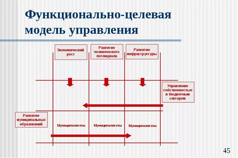 Целевая модель развития. Функционально-целевая модель системы управления организацией. Целевая модель управления. Схема функционально целевой модели. Функциональная модель управления.