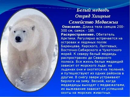История про белую