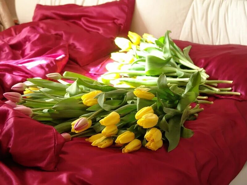 Тюльпаны букет сохранить в воде как дольше. Букет тюльпанов. Букет цветов на кровати. Букет тюльпанов на постели. Огромный букет тюльпанов.