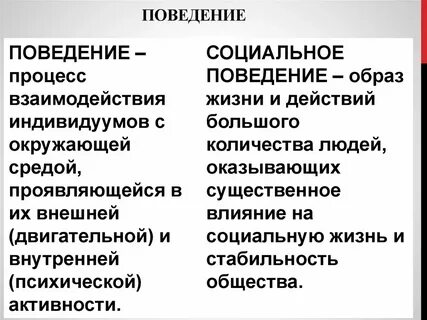 Социальное действие взаимодействие и поведение