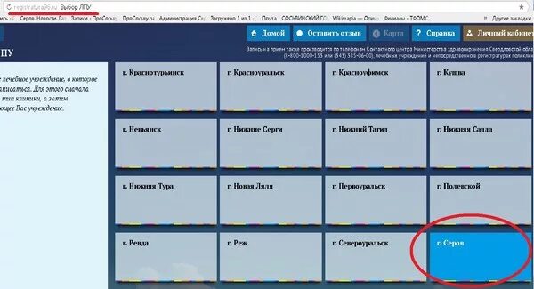 Запись на прием к врачу верхний. Самозапись.ру Свердловская область. Самозапись.ру. Регистратура96.ру. Интернет регистратура Свердловской области 96.