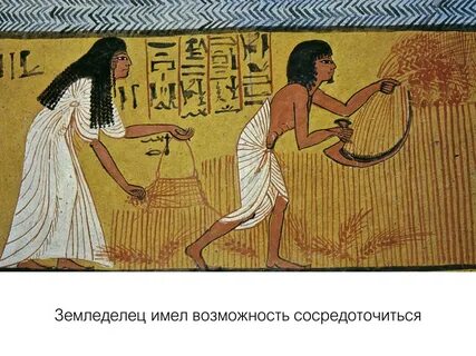 Египетские земледельцы рыхлили землю плугом а урожай