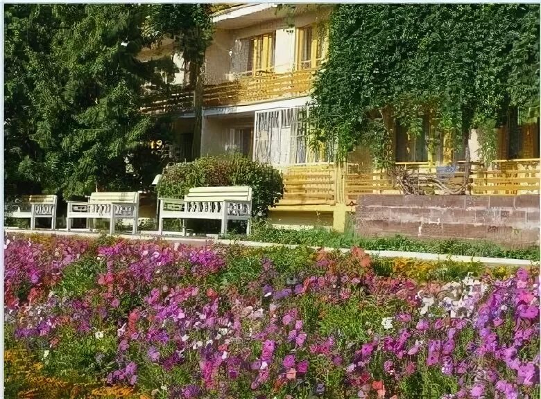 Сайт санатория горького. Санаторий имени горького воронеж. воронеж парк в санатории горького. санаторий максима горького воронеж. санаторий горького кисловодск.