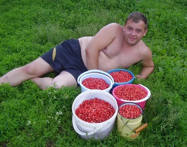 Вася сегодня. Вася обломов жена. Кошка блюз ст. Вася сегодня. Котофейка.