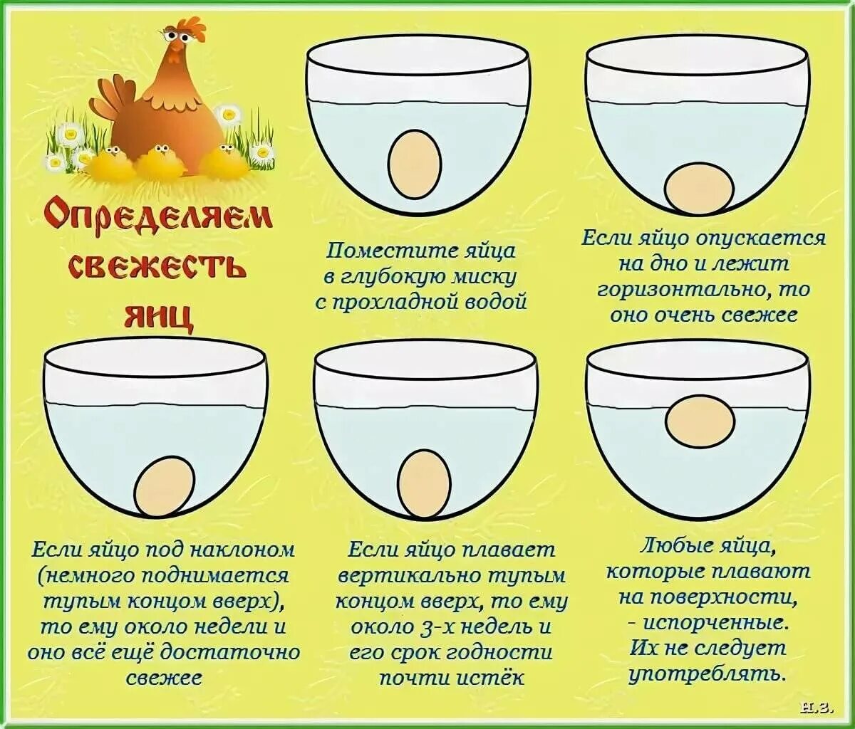 Яйца всплывают в воде можно ли