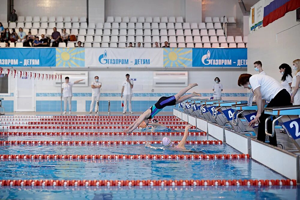 Всероссийские соревнования по плаванию. Соревнования по плаванию Чемпионат. Первенство России по плаванию. Паралимпийский комитет России по плаванию.