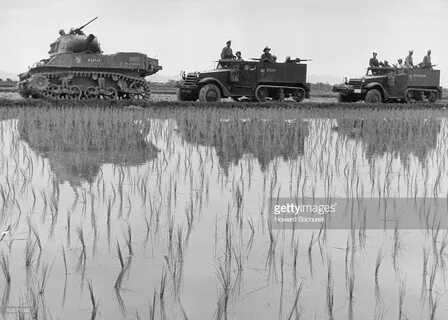 1946 1954