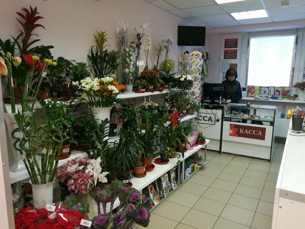 Магазин цветов в Ливнах. Первый цветочный магазин. Первая Цветочная Лавка Ярославль. Цветочный магазин в Александрове.
