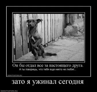 Ты настоящая перевод