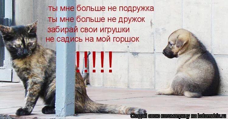 Дай мне побольше. Ты мне больше не подружка стихотворение. ты мне больше не подружка ты мне больше не дружок. ты мне больше не подружка забирай свои игрушки. я тебя люблю давай мириться.