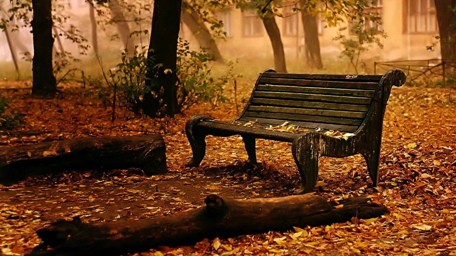 Осень это сырость осень это грусть. Осенний сад с лавочкой. Там на скамье. Скамейка парк туман. Бездомный спит на скамейке.