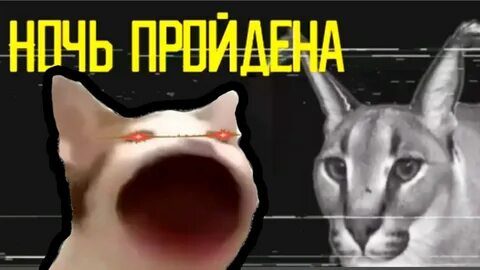 5 ночей с шлепай 4