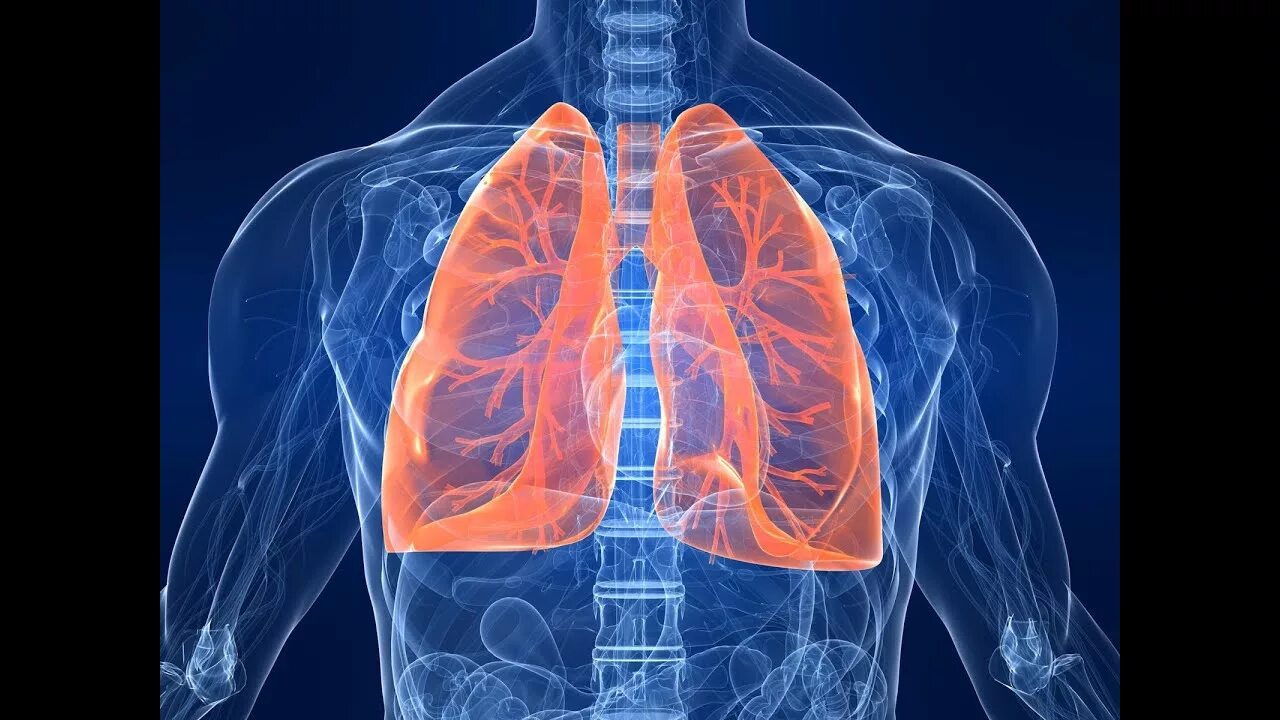 профилактика заболеваний дыхательной системы. хроническая обструктивная легочная болезнь. заболевания органов дыхания видео. сердечно сосудистая и дыхательная система. аболевания органов дыхания".