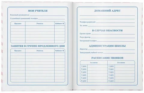 Какой дневник в 1 классе