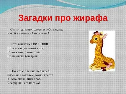 Жираф загадка