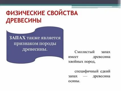 Что относится к физическим свойствам древесины