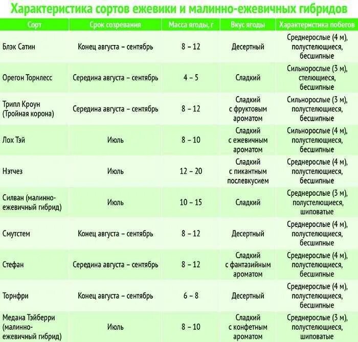 Сравнительная характеристика сортов ежевики. Таблица созревания сортов ежевики. Таблица- сравнение ежевики по сортам. Дегустационная оценка сортов ежевики. Дегустационная оценка яблонь