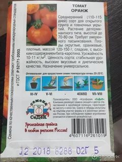 Томаты оранж описание сорта фото отзывы