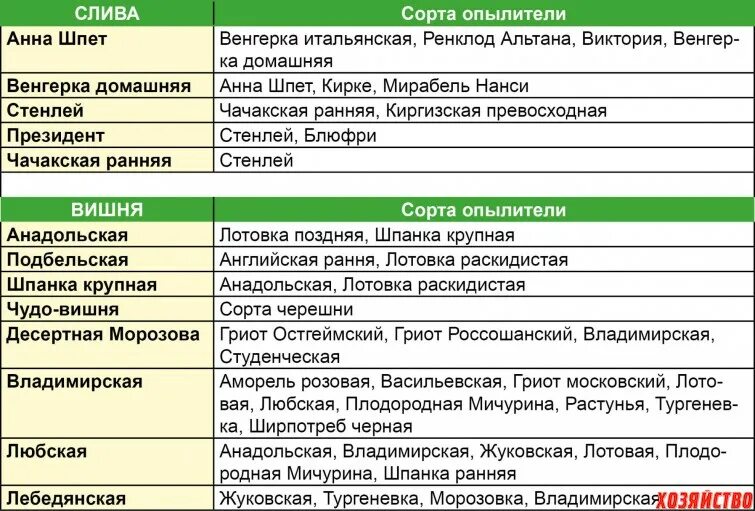 Надо ли опылять. Таблица опылителей вишни сортов. Таблица опылителей вишни и черешни. Сорта опылители черешни таблица. Таблица опылителей груш сортов.