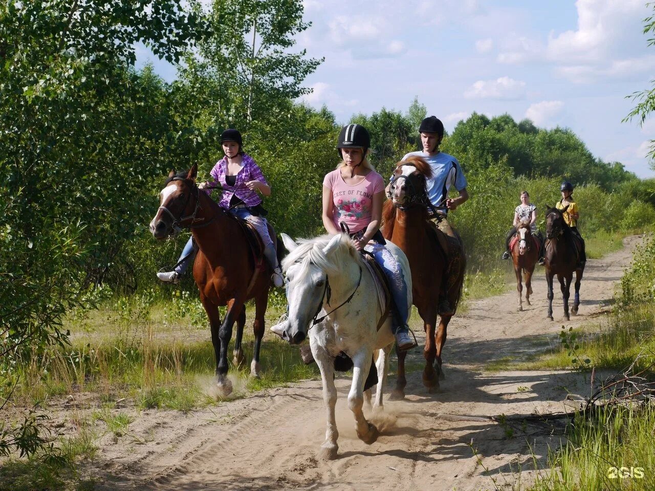 Конный клуб Центавр Нижний Новгород. Томаровка конные прогулки. Конный клуб Центавр. Конные прогулки Нижний Новгород.