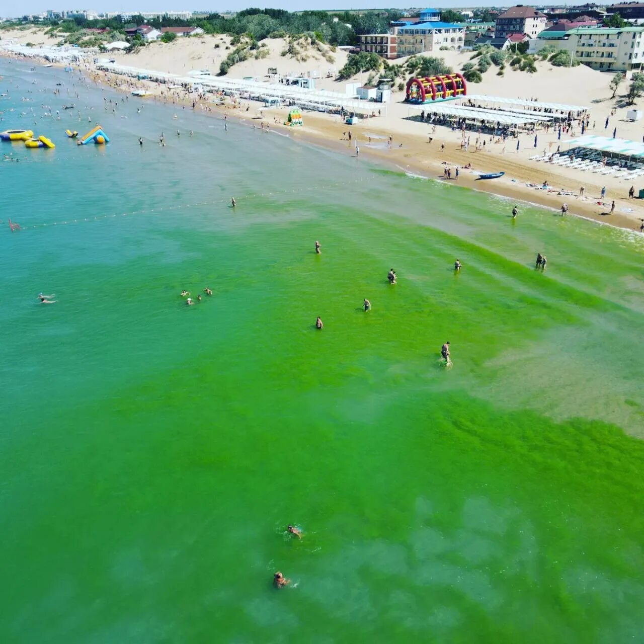 Водоросли в анапе. Витязево море цветет. Джемете море цветет. Анапа Витязево море цветет 2021. Джемете Анапа море цветет.