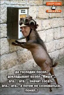 Удафф