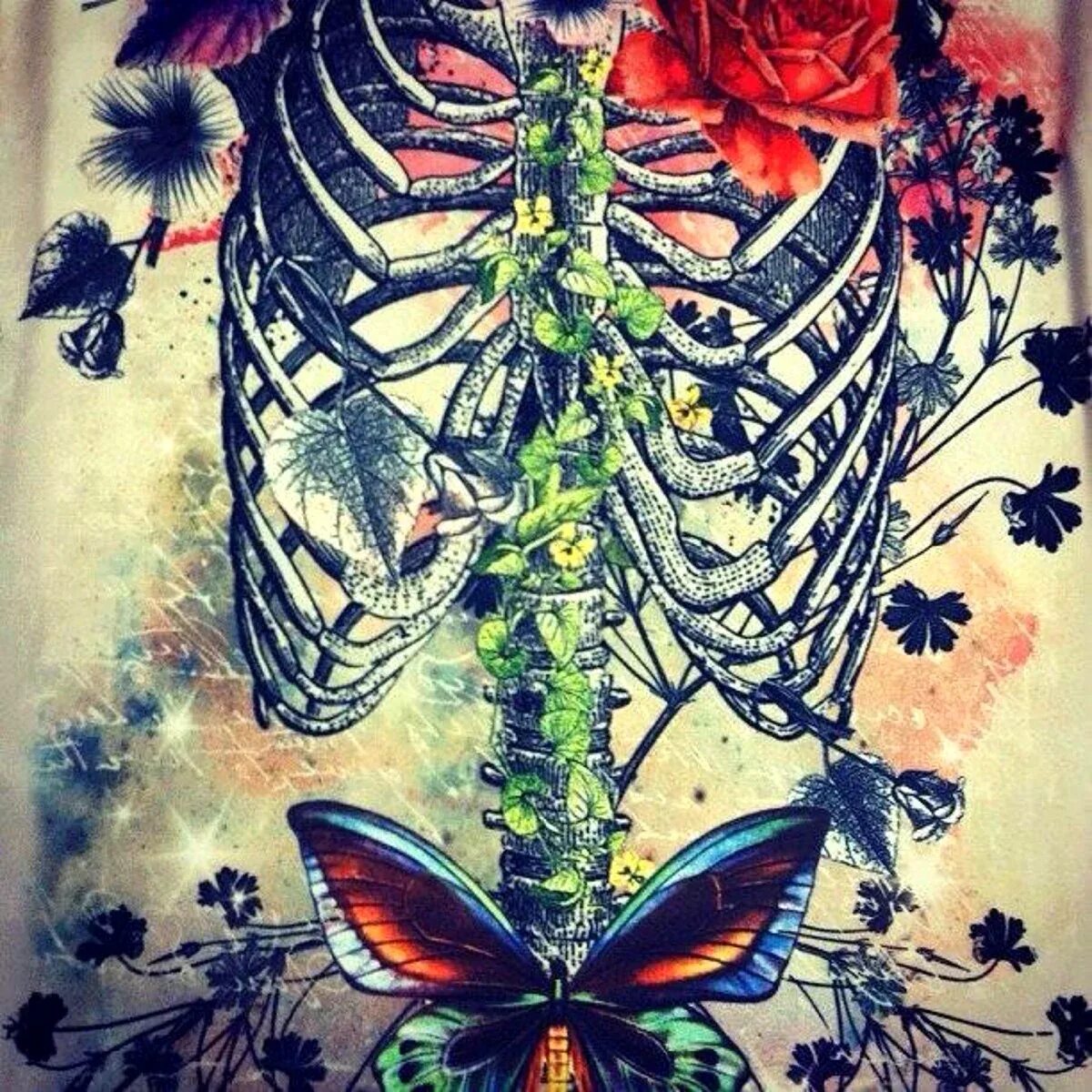 Бабочки в животе. Скелет с бабочками в животе. Бабочки в животе рисунок. Скелет бабочки