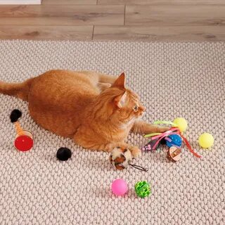 Hobby pets