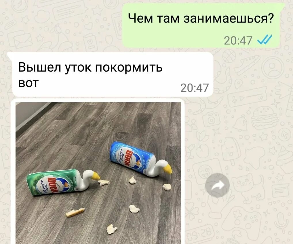 Хорошо чем там занимаетесь. Мем ты далбаëб. Хорошо чем там занимаетесь. Кот мем. Чем вы там занимаетесь.