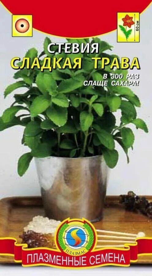 Трава стевия для чего принимают. Трава стевия. стевия семена. стевия сладкая трава. многолетнее растение стевия.