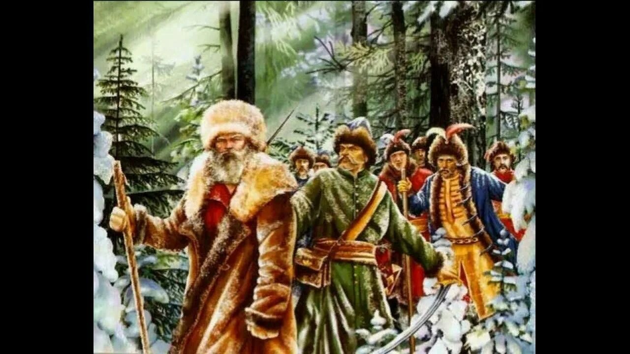 День ивана сусанина. Котята зимой. Март коты. Куда ты ведешь нас. Куда ты ведешь нас.