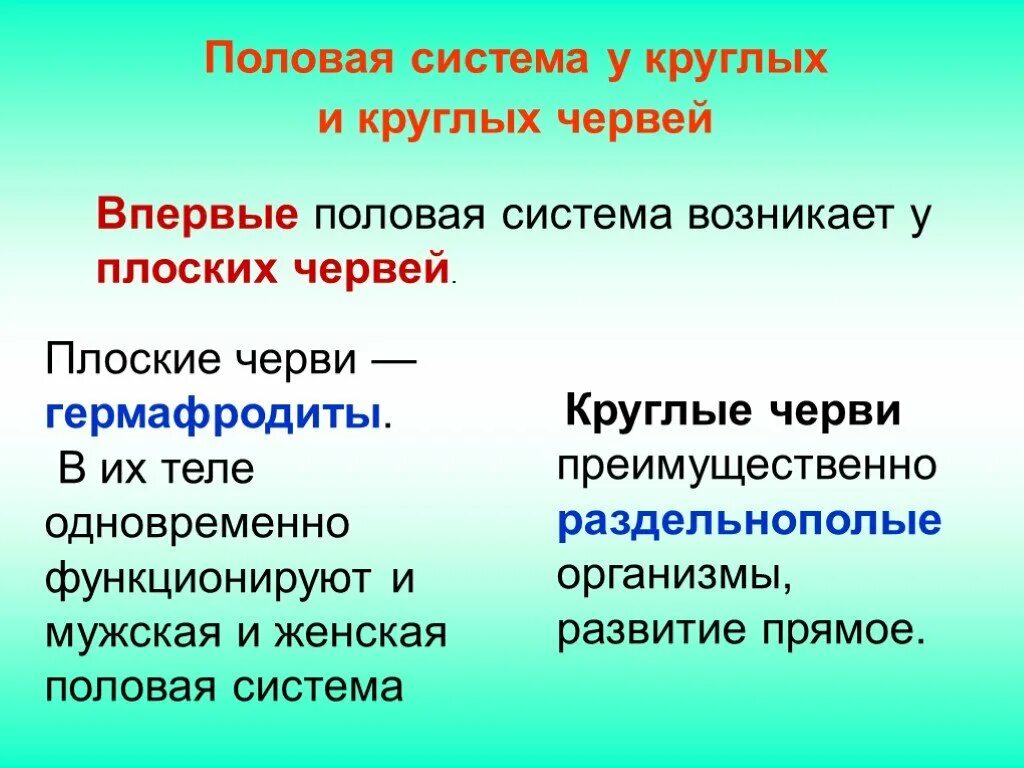 Половая система у плоских и круглых червей. Половая система круглых червей. Половая система раздельнополые черви. Женская и мужская половая система плоских червей.