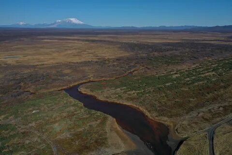 Камчатка экологические