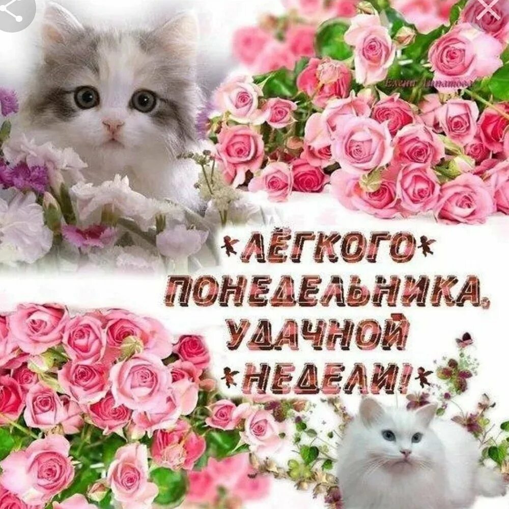 Понедельник хорошего дня и удачной недели. Открытки с понедельником. открытка отличного понедельника. открытки с добрым понедельником. открытка хорошего понедельника.