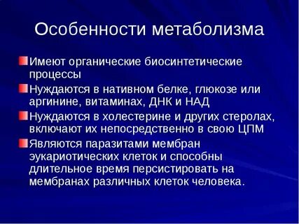 Особенности обмена и роль аргинина