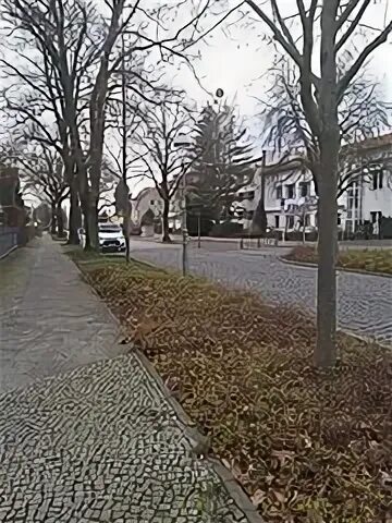 Berlin kaulsdorf инцидент