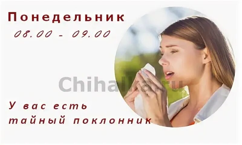 Чихнуть в понедельник по времени для женщин. Чих понедельник примета. чихнуть в понедельник с 8 до 9. чихалка понедельник. чихнуть в понедельник с 7 до 8 утра.
