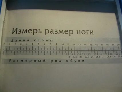 Антилопа размерная сетка детской обуви