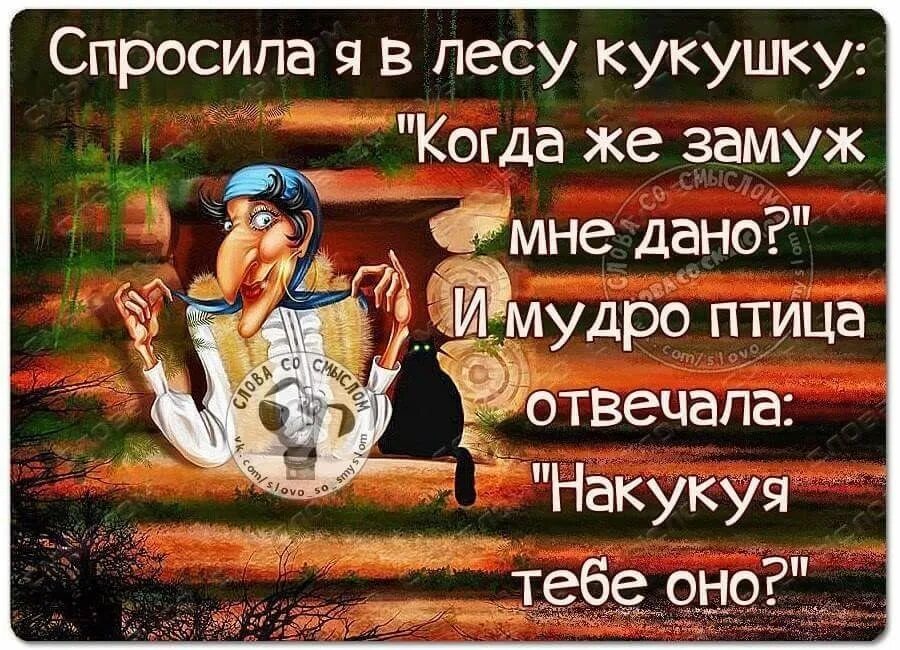 Когда спрашиваю замуж. Замуж высказывания. шутки про замужество в картинках. афоризмы про замуж. приколы цитаты про замужество.