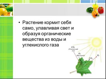 Какие приспособления к улавливанию