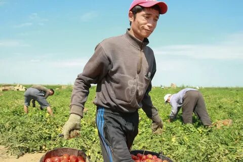 Погода астраханская область черноярский