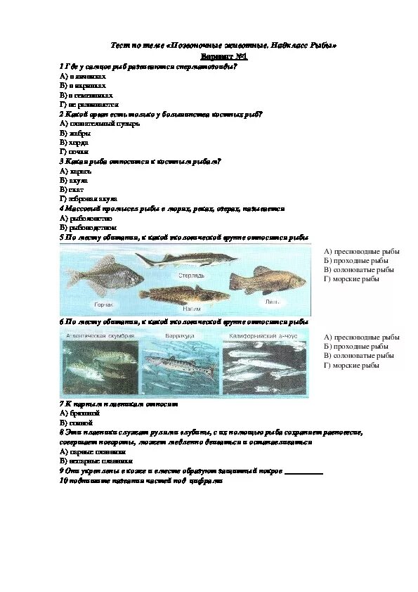 Тест по теме рыбы ответы. Проверочная работа по биологии классы рыб 7 класс. Контрольная работа по биологии 7 класс рыбы с ответами. Контрольная работа по биологии 7 класс рыбы. Проверочная работа по теме рыбы 7 класс биология.